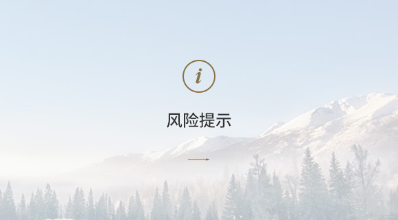 风险提示