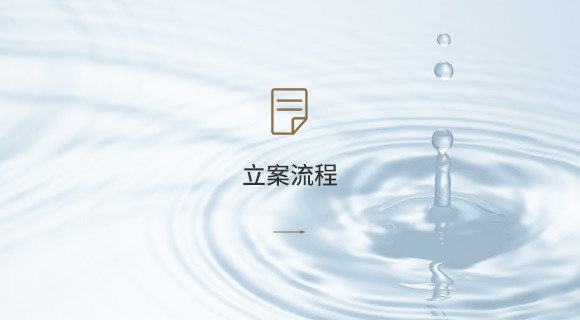 立案流程